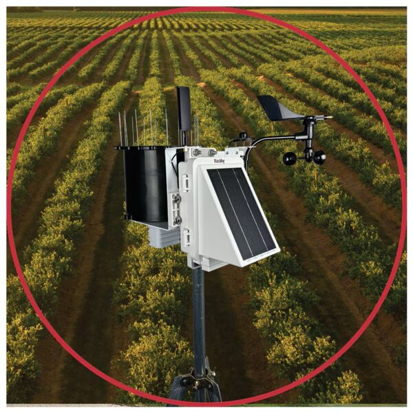 Serie 3000 - Estación de lluvia inalámbrica WatchDog (LTE-CAT4) (temperatura, derecha, lluvia, +2 puertos) - Imagen 2